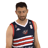 British Basketball League Josh Sticker by Bristol Flyers