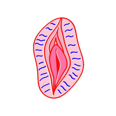 Canestenau giphygifmaker vagina canestenudou Sticker