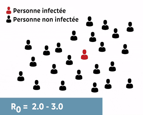 rozennSRC giphyupload covid19 radio-canada epidemie GIF