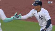 Celebrate Major League Baseball GIF by MLB