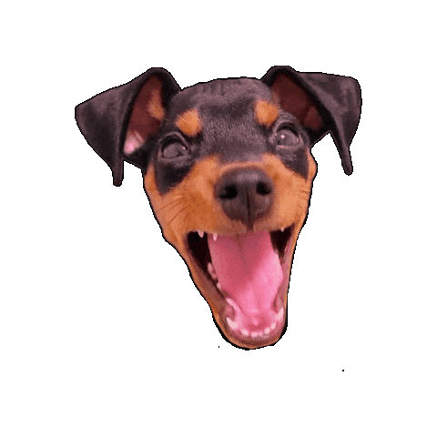 Dog Sticker