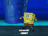 season 7 keep bikini bottom beautiful GIF by SpongeBob SquarePants