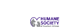 humane society cat Sticker by Humane Society of Southern Arizona