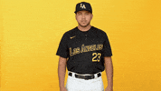 Cal State La Sport GIF by Cal State LA Golden Eagles
