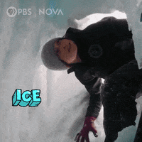 Pbs Biology GIF by WGBH Boston