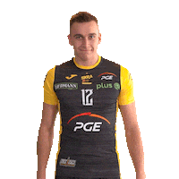 Belchatow Sticker by PGE Skra Bełchatów