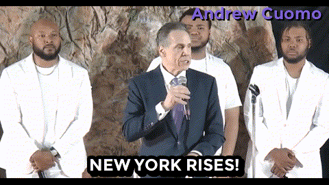 New York Vote GIF by Andrew Cuomo