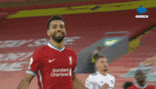 Celebration What GIF by MolaTV