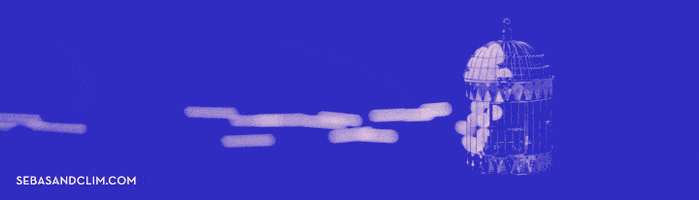 Connection Flying GIF by Sebas & Clim