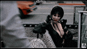 elvira mistress of the dark comedy GIF by Arrow Video