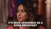 Channel 9 Omg GIF by The Block