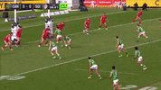 Try Nrl GIF by Canberra Raiders