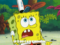 season 6 GIF by SpongeBob SquarePants