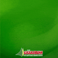 Bahia Varejo GIF by Lojas Guaibim