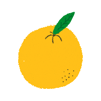 Orange Fruit Sticker
