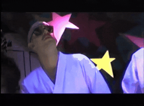 flamingoshadow giphygifmaker GIF