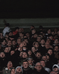 West Brom Wba GIF by West Bromwich Albion