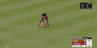 Jomboy  GIF