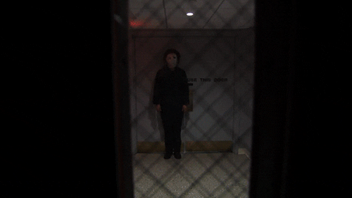 jimmy fallon television GIF