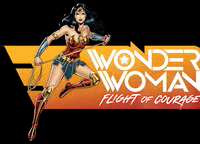 Wonder Woman GIF by Six Flags