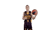 Liga Endesa Basketball Sticker by ACB