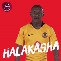 south african soccer GIF