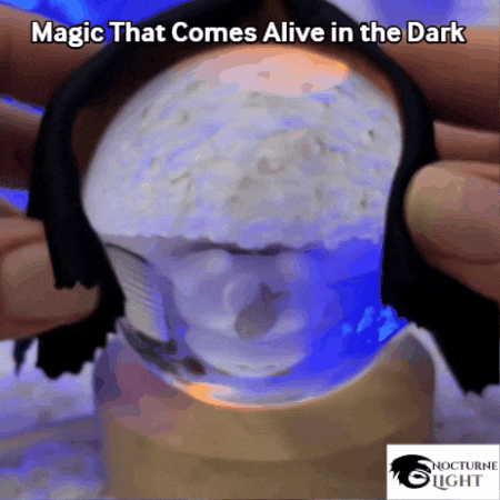 NOCTURNELIGHT giphygifmaker GIF