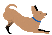 Pet_Plate dog doggo chihuahua pupper Sticker