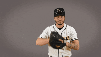 Cal State La Baseball GIF by Cal State LA Golden Eagles