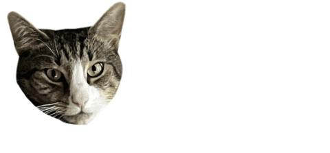 Cat Sticker by FuzzYard