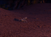 Struggling A Bugs Life GIF by Train Like A Gymnast