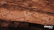 Indigenous People Australia GIF by PBS