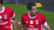 Sl Benfica Point GIF by Sport Lisboa e Benfica