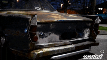 Cars Camber GIF by Curated Stance Club!
