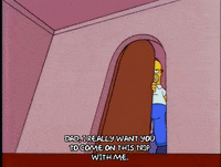season 5 homer GIF