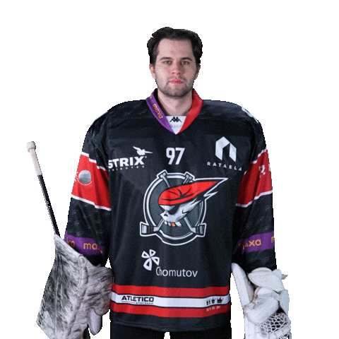 Hokej Goaltender Sticker by Piráti Chomutov