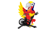 Sport Indoorcycling Sticker by TSV Falkensee e.V.