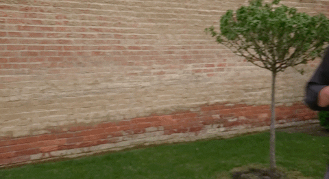 Smwl21 GIF by The Story Catcher