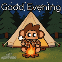 Camping Good Night GIF by Chimpers