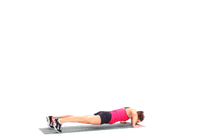 wave gym STICKER