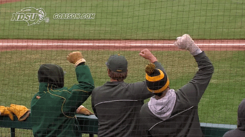north dakota state baseball GIF by NDSU Athletics