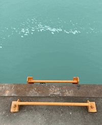 VisuElleDK  GIF
