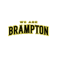 Basketball Nba Sticker by Brampton Honey Badgers