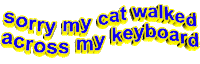 sorry keyboard Sticker by AnimatedText