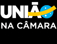 Camara GIF by União na Câmara