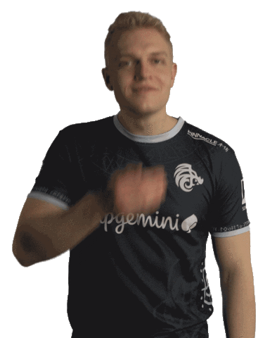Counter Strike Global Offensive What Sticker by North