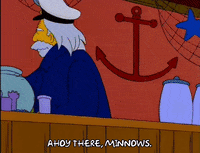 Lisa Simpson Captain Mccallister GIF by The Simpsons