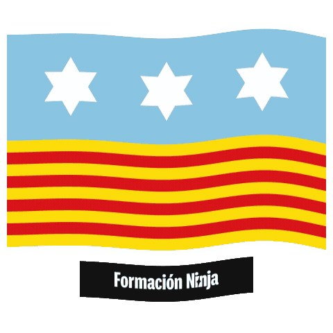 Flag Spain Sticker by Formación Ninja