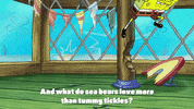 season 9 the fish bowl GIF by SpongeBob SquarePants