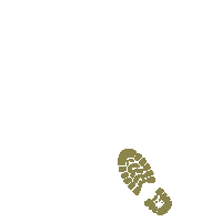 Travel Trip Sticker by P13PaperProducts